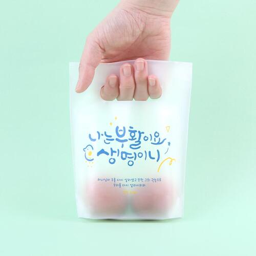 그레이스벨 부활절 2구 친환경 손잡이 비닐 (10매) 선물 달걀 꾸미기 포장
