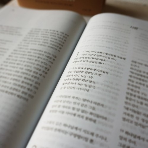 메시지 S 스탠더드 에디션 /메시지성경 메세지성경 복있는사람메시지성경