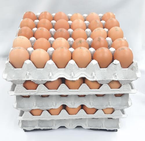 2024년 부활절달걀 구운계란 5판(150구)부활절 계란포장지 꾸미기