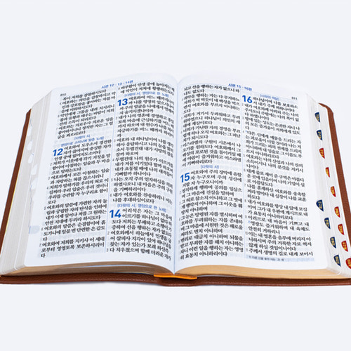 개역한글 성경책 H82AB 특대 단본 브라운 큰글자 성경